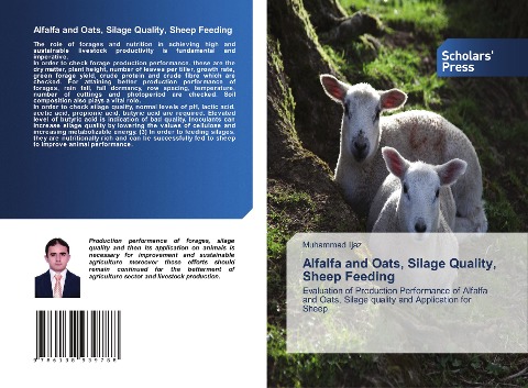 Alfalfa and Oats, Silage Quality, Sheep Feeding: Evaluation of Production Performance of Alfalfa and Oats, Silage quality and Application for Sheep