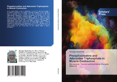 Phosphocreatine and Adenosine Triphosphate in Muscle Contraction: Biochemical, Thermal and Mechanical Energetic Balances