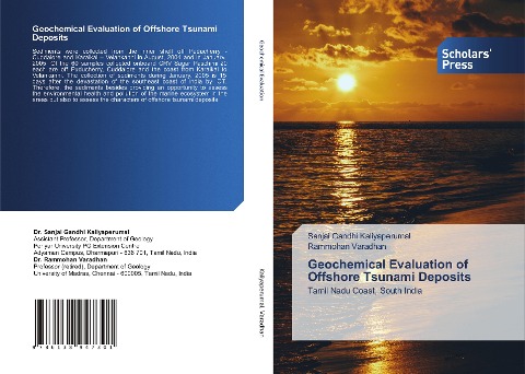 Geochemical Evaluation of Offshore Tsunami Deposits: Tamil Nadu Coast, South India