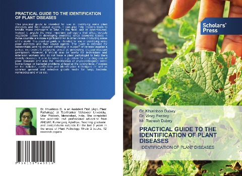 PRACTICAL GUIDE TO THE IDENTIFICATION OF PLANT DISEASES: IDENTIFICATION OF PLANT DISEASES