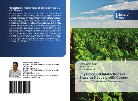 Physiological Interactions of Brassica Napus L with Copper: Processes, Thresholds and Consequences