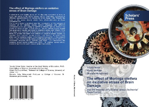 The effect of Moringa oleifera on oxidative stress of Brain Damage: and the induced rat oxidative stress (Ischemia/ Reperfusion)