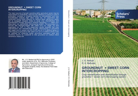 GROUNDNUT + SWEET CORN INTERCROPPING: Crop intensification and diversification through groundnut + sweet corn intercropping system