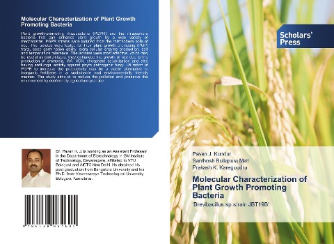 Molecular Characterization of Plant Growth Promoting Bacteria: Brevibacillus sp.strain JBT19B