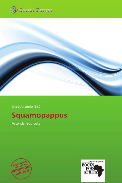 Squamopappus: Asterids, Eudicots