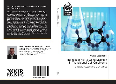 The role of HER2 Gene Mutation in Transitional Cell Carcinoma: of urinary bladder Using CISH Method