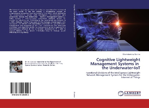Cognitive Lightweight Management Systems in the Underwater-IoT: Functional Divisions of the Intelligence Lightweight Network Management System for the Underwater-Internet of Things