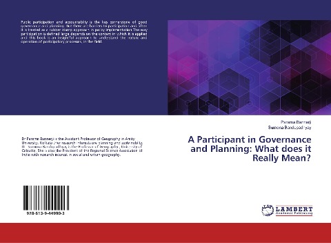 A Participant in Governance and Planning: What does it Really Mean?