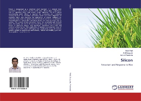 Silicon: Extractant and Response to Rice