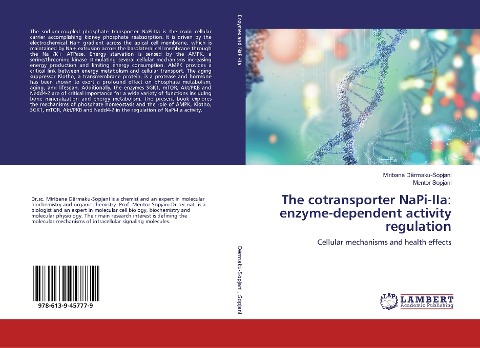 The cotransporter NaPi-IIa: enzyme-dependent activity regulation: Cellular mechanisms and health effects