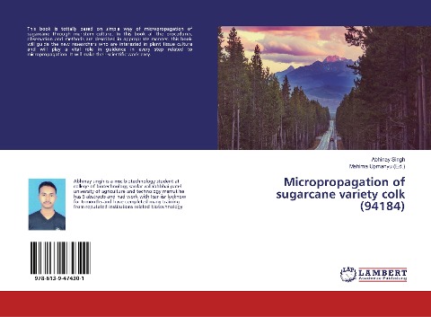 Micropropagation of sugarcane variety colk (94184)