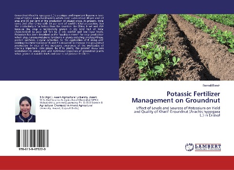 Potassic Fertilizer Management on Groundnut: Effect of Levels and Sources of Potassium on Yield and Quality of Kharif Groundnut (Arachis hypogaea L.) in Entisol
