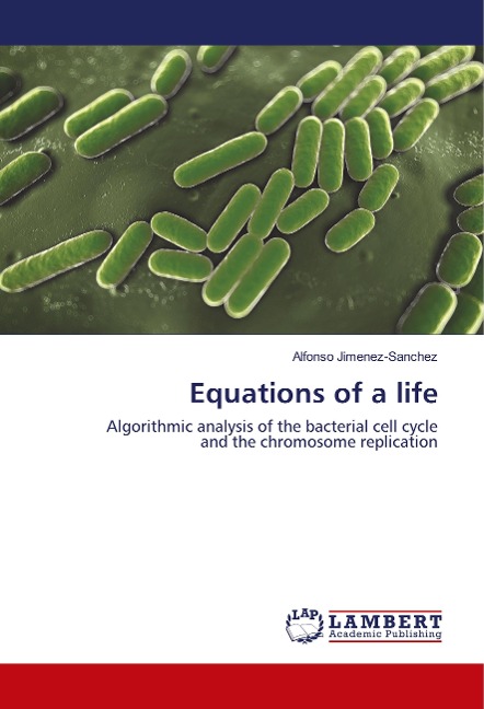 Equations of a life: Algorithmic analysis of the bacterial cell cycle and the chromosome replication