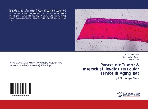 Pancreatic Tumor & Interstitial (leydig) Testicular Tumor in Aging Rat: Light Microscopic Study