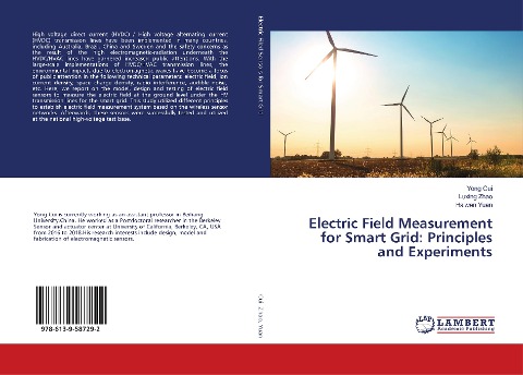 Electric Field Measurement for Smart Grid: Principles and Experiments
