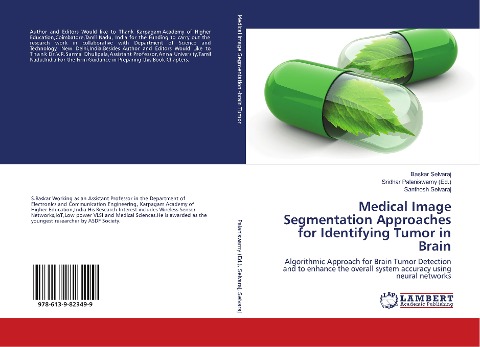 Medical Image Segmentation Approaches for Identifying Tumor in Brain: Algorithmic Approach for Brain Tumor Detection and to enhance the overall system accuracy using neural networks