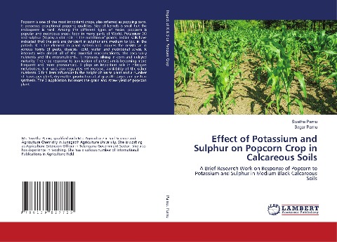 Effect of Potassium and Sulphur on Popcorn Crop in Calcareous Soils: A Brief Research Work on Response of Popcorn to Potassium and Sulphur in Medium Black Calcareous Soils