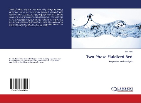 Two Phase Fluidized Bed: Properties and Analysis