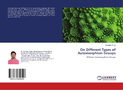 On Different Types of Automorphism Groups: Different Automorphism Groups