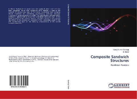 Composite Sandwich Structures: Nonlinear Analysis