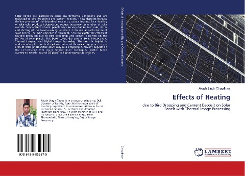 Effects of Heating: due to Bird Dropping and Cement Deposit on Solar Panels with Thermal Image Processing