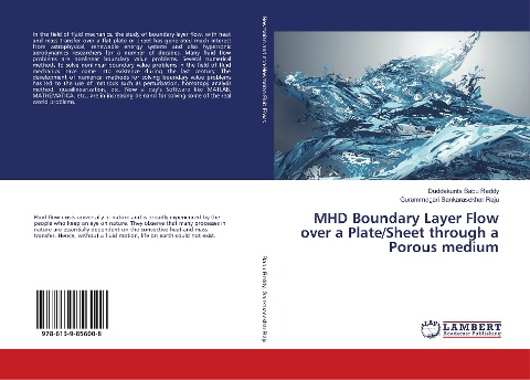 MHD Boundary Layer Flow over a Plate/Sheet through a Porous medium