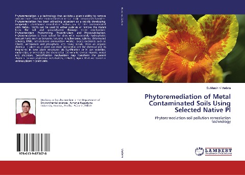 Phytoremediation of Metal Contaminated Soils Using Selected Native Pl: Phytoremediation-soil pollution remediation technology