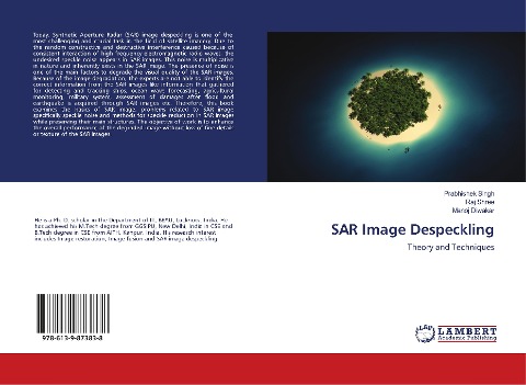SAR Image Despeckling: Theory and Techniques