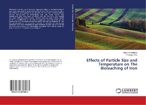 Effects of Particle Size and Temperature on The Bioleaching of Iron