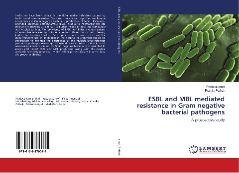 ESBL and MBL mediated resistance in Gram negative bacterial pathogens: A prospective study