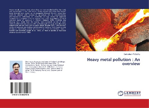 Heavy metal pollution : An overview
