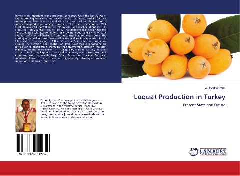 Loquat Production in Turkey: Present State and Future