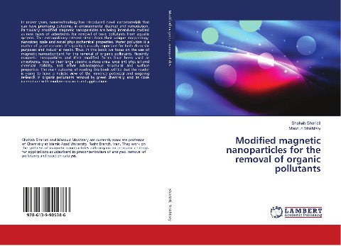 Modified magnetic nanoparticles for the removal of organic pollutants