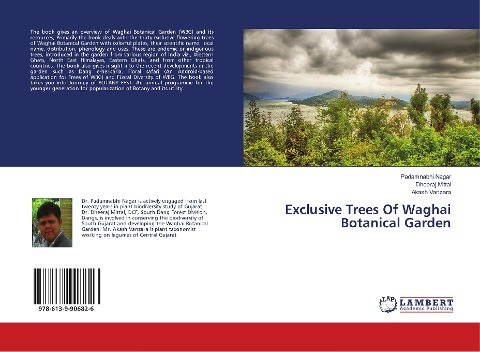 Exclusive Trees Of Waghai Botanical Garden