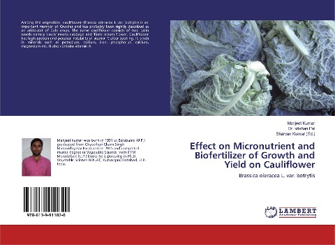 Effect on Micronutrient and Biofertilizer of Growth and Yield on Cauliflower: Brassica oleracea L. var. botrytis