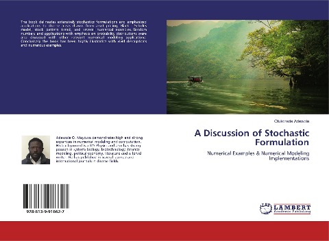 A Discussion of Stochastic Formulation: Numerical Examples & Numerical Modeling Implementations