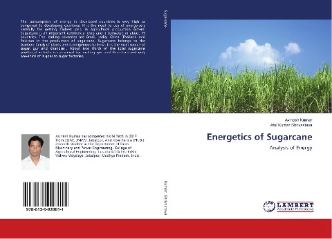 Energetics of Sugarcane: Analysis of Energy