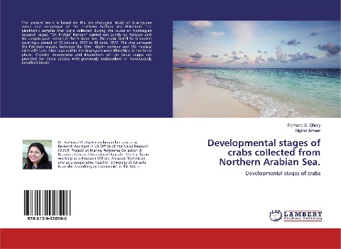 Developmental stages of crabs collected from Northern Arabian Sea.: Developmental stages of crabs