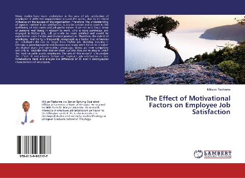 The Effect of Motivational Factors on Employee Job Satisfaction
