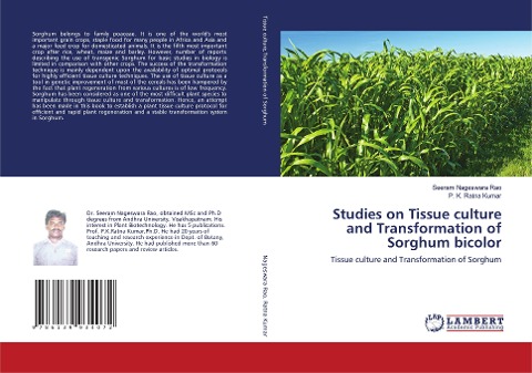 Studies on Tissue culture and Transformation of Sorghum bicolor: Tissue culture and Transformation of Sorghum