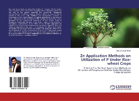 Zn Application Methods on Utilization of P Under Rice-wheat Crops: Effect of Zinc Fertilizer Application Methods on Utilization of Phosphorus Fertilizer Under Rice-Wheat Cropping System