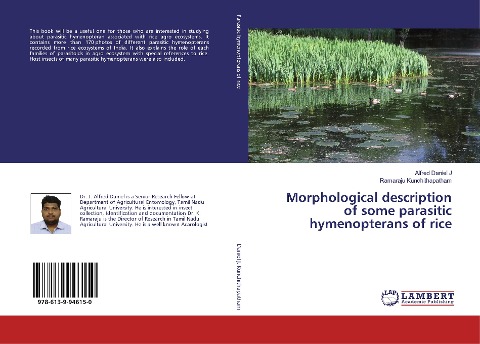 Morphological description of some parasitic hymenopterans of rice