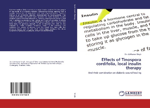 Effects of Tinospora cordifolia, local insulin therapy: And their combination on diabetic wound healing