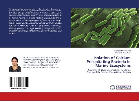 Isolation of Calcium Precipitating Bacteria in Marine Ecosystems: Synthesis of Silver Nanoparticles by Marine Thermophilic Calcium Precipitating Bacteria