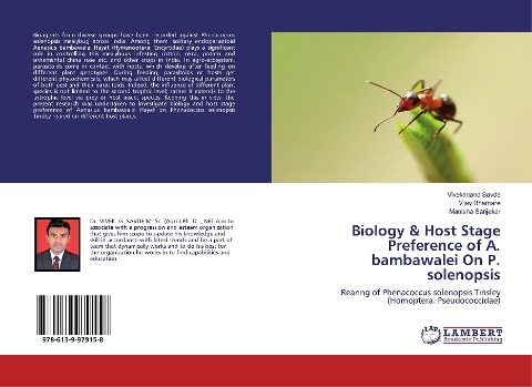 Biology & Host Stage Preference of A. bambawalei On P. solenopsis: Rearing of Phenacoccus solenopsis Tinsley (Homoptera: Pseudococcidae)