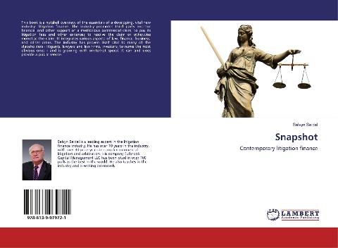 Snapshot: Contemporary litigation finance