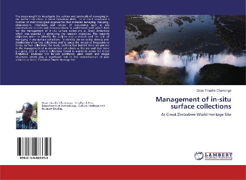Management of in-situ surface collections: At Great Zimbabwe World Heritage Site