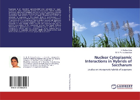 Nuclear Cytoplasmic Interactions in Hybrids of Saccharum: Studies on Intergeneric hybrids of Sugarcane