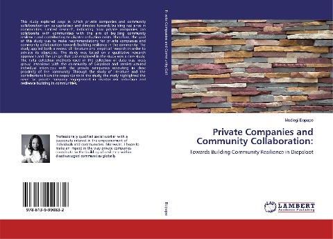 Private Companies and Community Collaboration:: Towards Building Community Resilience in Diepsloot