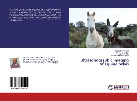Ultrasonographic Imaging of Equine pelvis